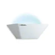 SectaRid SR20 Luralite Indoor Bug GlueBoard Catcher. For Cafe-Office-Food areas