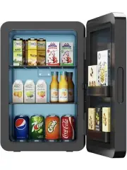 ADVWIN 22L Portable Mini Fridge Small Fridge Cooler, Compact Car Refrigerator,