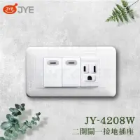 在飛比找momo購物網優惠-【中一電工 JYE】2入組 PANDA 熊貓系列 夜光壁切(