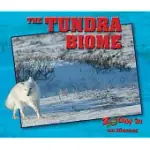 THE TUNDRA BIOME