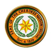 Cherokee Nation (Tribe) Pin Badge