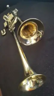 Berkeley 4th Rotary Valves F trumpet, Bb Double Bell, Piccolo Trumpet