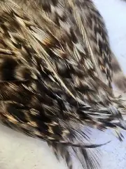 Chinchilla Feathers 30 Plus Loose Short Natural Feathers 2" - 4" Black And White