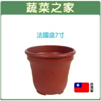 在飛比找momo購物網優惠-【蔬菜之家】法國盆7寸(歐洲盆 花盆 花槽 栽培盆 種植盆 