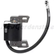 Coil Of Ignition for Briggs & Stratton 18270275 590454