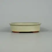 Japanese bonsai pot TOKONAME YOZAN Oval shape W14.8cm H4cm White Glazed