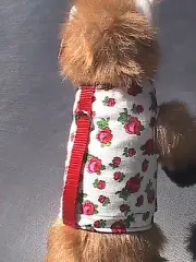 Small Animal Harness - Red Roses - Dog, Cat, Monkey