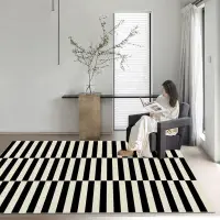 在飛比找樂天市場購物網優惠-地毯 房間地毯 客廳地毯 床邊地毯 臥室地毯 簡約黑白條紋地
