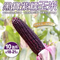 在飛比找momo購物網優惠-【WANG 蔬果】黑寶紫糯米玉米10斤x1箱(農民直配)