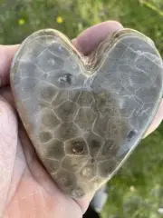 Large Hand Polished Heart Petoskey Stone, 11oz W/ Broken Heart Crack, LK MI