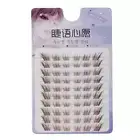 Wispy C Curl Fox Eye Lash Extension Individual Lashes for Eyelash Extensions