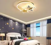 Flush Mount LED Ceiling Chandelier Modern Lighting Gold Coffee Parts Star Light