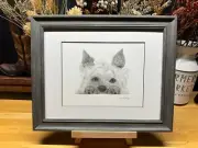 Drawing of a Yorkshire Terrier Yorkie Dog Graphite Pencil Sketch Picture Print
