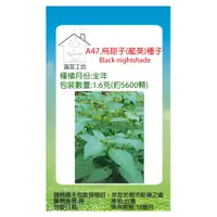 在飛比找PChome24h購物優惠-【蔬菜工坊】A47.烏甜子(龍葵)種子