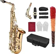 ROWCES Saxophone Sax EB Be Alto E Flat Brass Carved Pattern on Surface Plastic Mouthpiece Exquisite with Cleaning Cloth Brush Straps