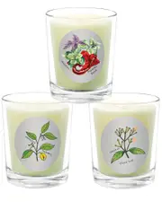 Qualitas Candles 3pc Candle Set - Clove Leaf, Nutmeg, & Paprika Basil
