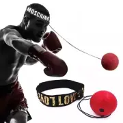 Boxing speed ball