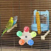 Parrot Chewing Toys Nibbling for Conures Budgerigar Finches Tearing Bird Toy