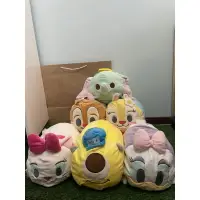 在飛比找蝦皮購物優惠-迪士尼 TsumTsum 小抱枕 克莉絲 蒂蒂 黛西 瑪莉貓