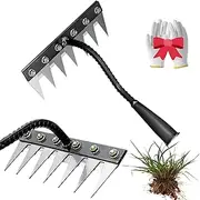 Iron Rake 2.0, Iron Rake for Gardening and Weeding, Heavy Duty Carbon Steel Dethatching Rakes with Gloves, Bolt-Reinforced and Removable, for Loosening Soil and Yard Garden Cleanup (7 Tines)