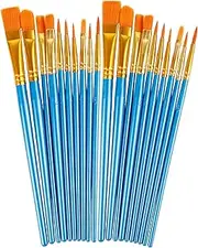 Paint Brushes Set, 2 Pack 20 Pcs Round Pointed Tip Nylon Hair Acrylic Paint Set, Oil Watercolor Brushes for Face Painting, Canvas, Rock Painting, for Beginners and Artists, Blue