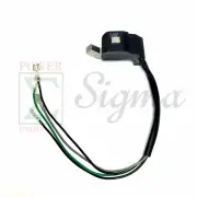 Magneto W/Built-in CDI For Pulsar PG1202S 72CC 900 1200 Watt 2HP Gas Generator