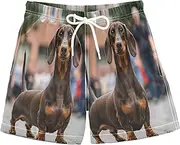 [RPLIFE] Boys Beach Shorts, Anti Chafe Swim Trunks for Boys 2 T, Funny Dachshund Dog