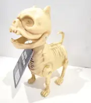 Halloween Bones Ornament Cat Kitten Skeleton Scary Model Creepy Animal Skull
