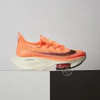 在飛比找momo購物網優惠-【NIKE 耐吉】Nike Air Zoom Alphafl