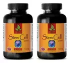 STEM CELL 500mg - Blue Green Algae Vegan Antioxidant Beta-carotene - 2B