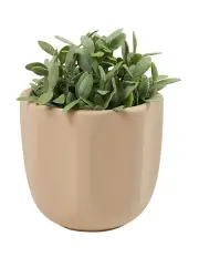 [Salt&Pepper] S&P Zola Planter Natural 17x16.5cm