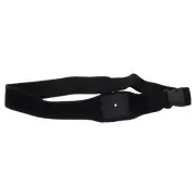 Armband Straps Belts Belt Waist Belt Belts