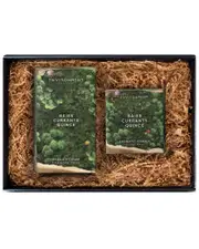 ENVIRONMENT 200ml Diffuser & 8oz Candle Gift Pack Inspired By Diptyque