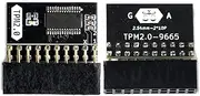 TPM2.0 Encryption Security Module, GA 20-1 Pin 2 * 10P TPM Remote Card Compatible with Win11 2.0 System, Memory Module of DDR4 for Gigabyte Platform Protection Module