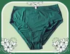 S Pine Green Everyday NOSHOW Stretch Victorias Secret PINK Hipster Brief Panty