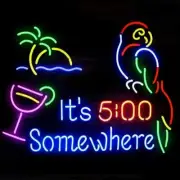 It's 5 O'clock Somewhere Parrot Palm Tree Martini 20"x16" Neon Sign Lamp Light