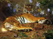 tiger peacock feathers by G. Surand Tile Mural Kitchen Backsplash Ceramic 10x8