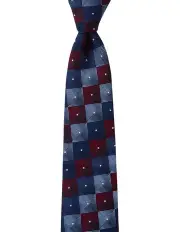 [Dom Bagnato] Piazza Geo Silk Tie in Wine