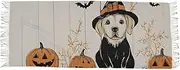 [XYMZR] Pumpkin Labrador Witch Women’s Scarf Soft Warm Long Scarves Shawl Wrap for Winter Autumn Spring Travel Office Home, Multi-colored