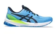 Asics Gel GT 1000 12 Mens Running Shoes (2E Wide) (404)