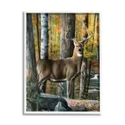 Deer Among Autumn Foliage White Framed Giclee Art Design by Kevin Daniel