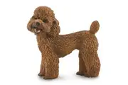 Collecta Poodle