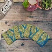 Potomac River Map |Drink Coaster Set