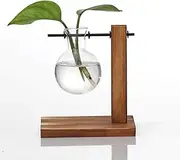 Plants Propagation Stations Desk Terrarium Vase Container Desktop Terrarium Kit Glass Vase for Hydroponics Indoor Office Desk Home Decor (Brown 3, 1 vase)