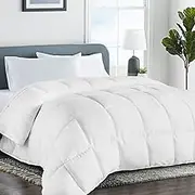 LIANLAM Comforters Queen Size, Down Alternative Comforter for All Season, Soft Prewashed Comforter with 4 Tabs, Lightweight & Warm Bedding- Machine Washable (White, Queen1)