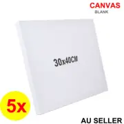 5x Blank Painting Canvas Artist Stretched Canvases White Art Oil Acrylic Paint