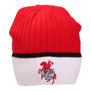 St George Illawarra Dragons NRL Burley Sekem Boundary Rib Beanie! BNWT's!