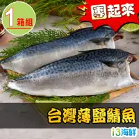 在飛比找momo購物網優惠-【愛上團購】台灣在地 南方澳薄鹽鯖魚(50包1箱)