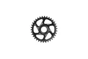 Hope R22 eBike Chainring Shimano - Black Size 34t