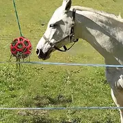 Horse Treat Ball Stable Hanging Hay Feeder Toy Ball Feeding Stretchable TPR Slow Feeder Ball